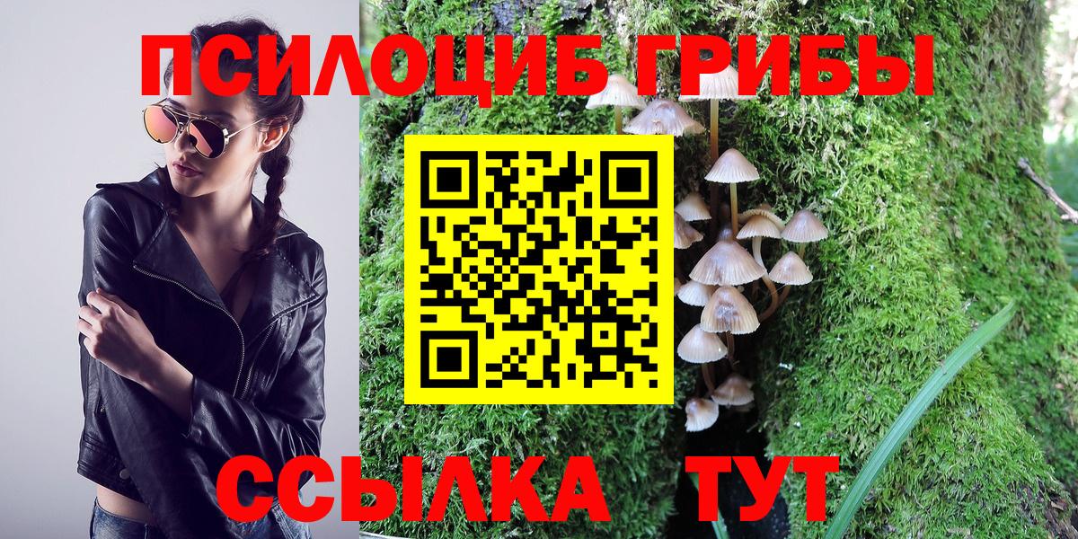 Псилоцибиновые грибы GOLDEN TEACHER  Вход с VPN  Славгород  Псилоцибиновые грибы мухоморы 